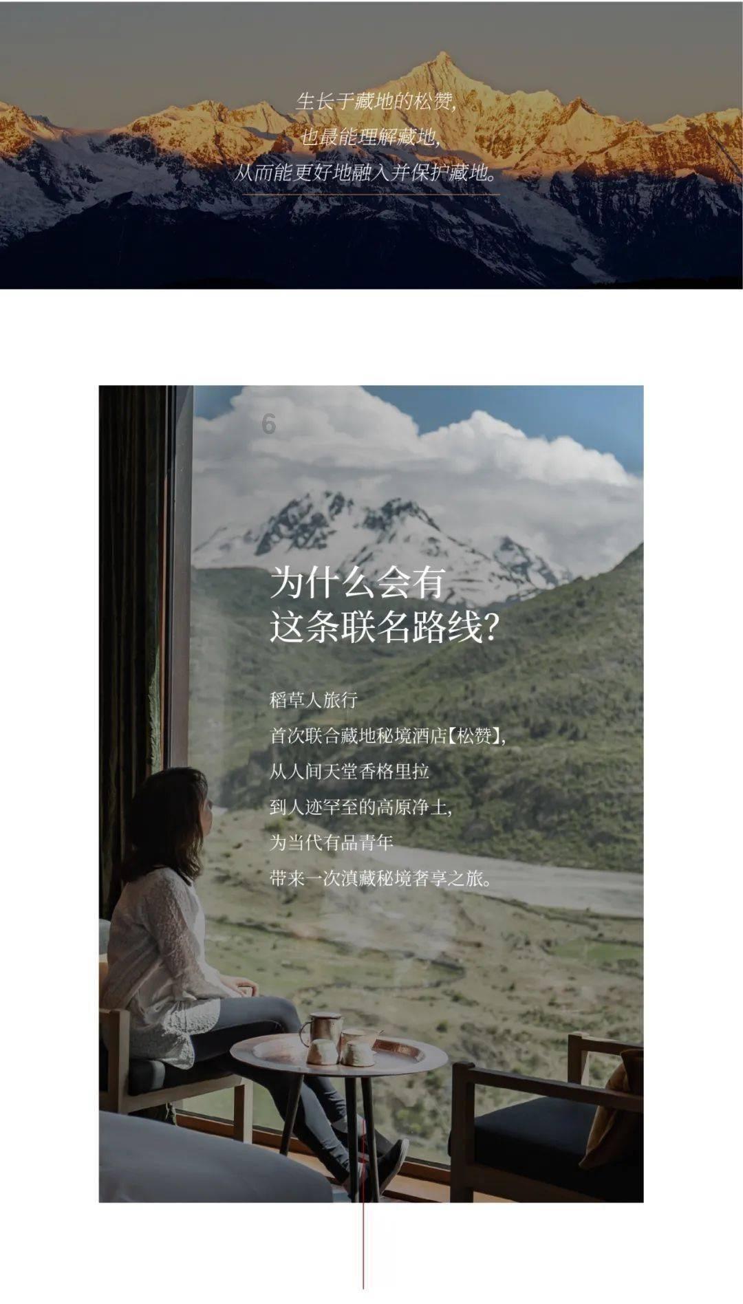 全方位解答,尽在两只猫隔空吵架什么意思?!