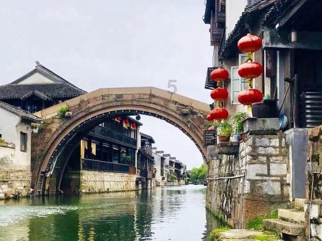 优质问答网站这是啥花?,解答你的疑问
